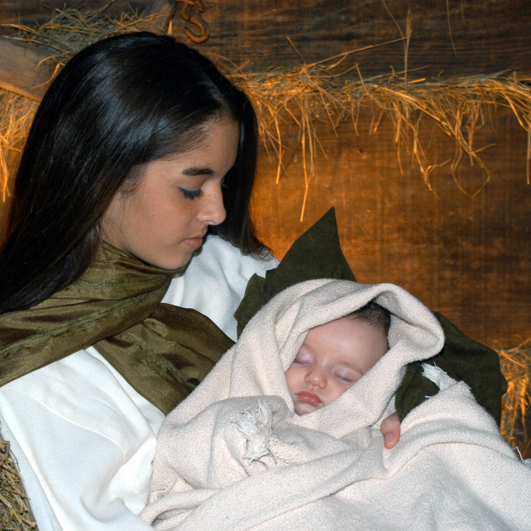 Read more about the article The Women of Advent - Mary
