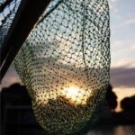 a fishing net with the sun setting in the background