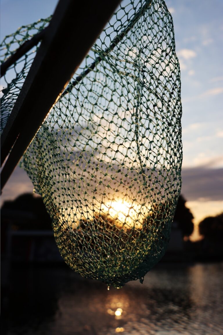 a fishing net with the sun setting in the background